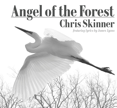 angel of the forest - chris skinner